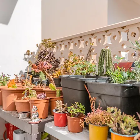 ヴィラ Renovated In Americas Sea Coast プラヤ・デ・ラス・アメリカス