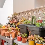 Villa Renovated In Americas Sea Coast Playa de las Americas (Tenerife)